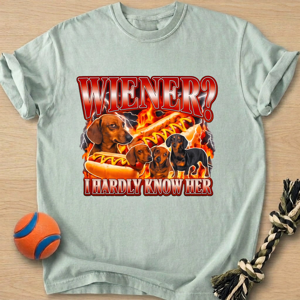 Wiener Joke T-Shirt – Bay t-shirt