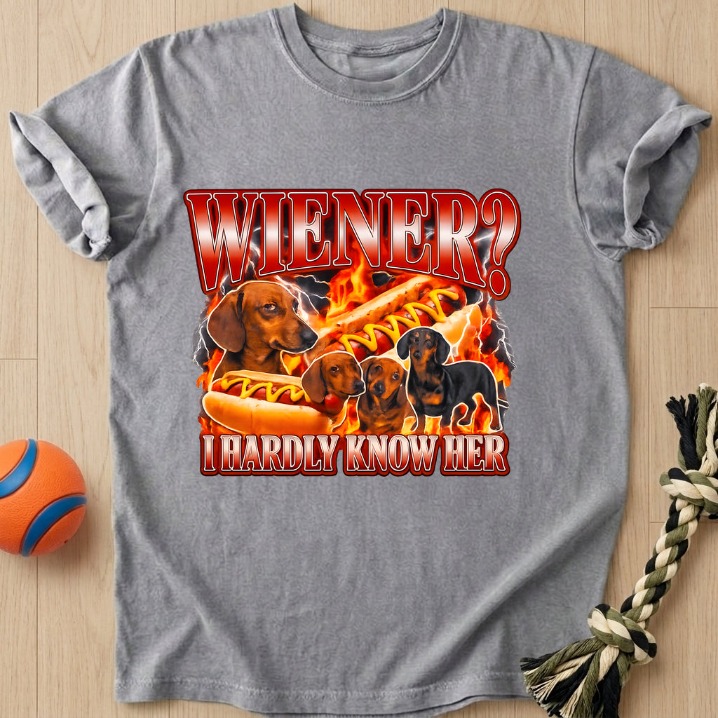 Wiener Joke T-Shirt – Grey t-shirt