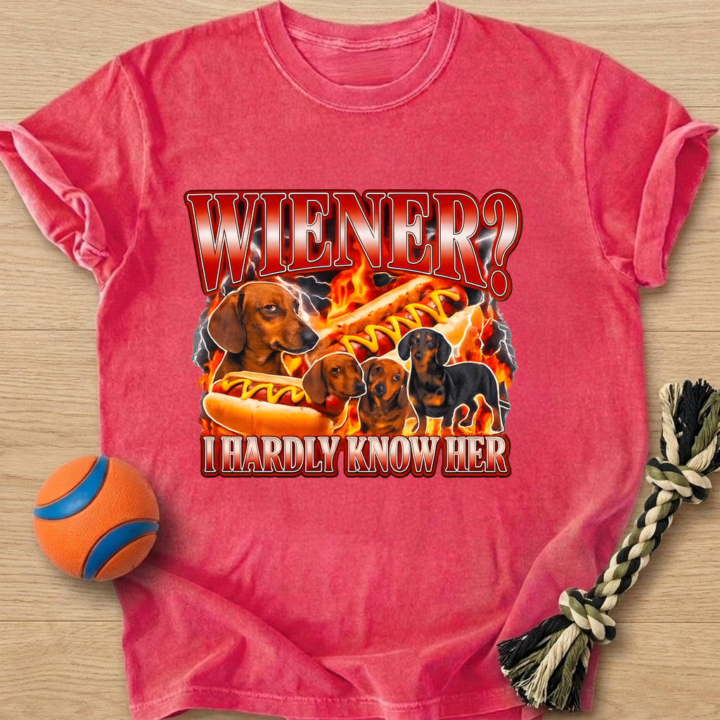 Wiener Joke T-Shirt – Watermelon t-shirt